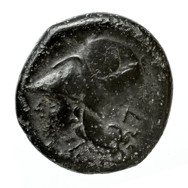 Leucas BMC Leucas 1-14, реверс, bnf-iris