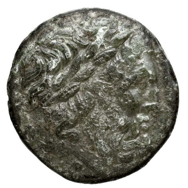 Oeniadae BMC Oeniadae 6-14, аверс, BnF (IRIS)