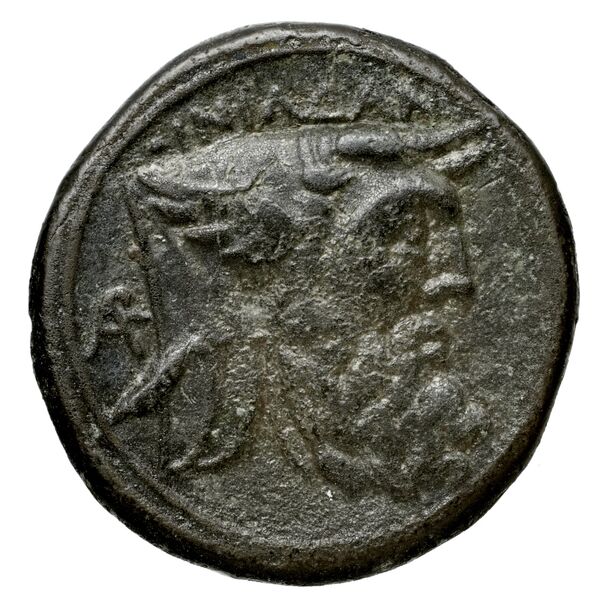 Oeniadae BMC Oeniadae 6-14, реверс, BnF (IRIS)