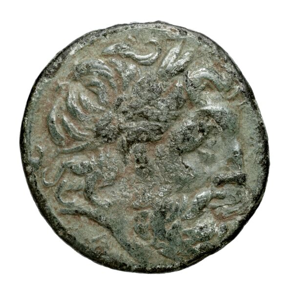 Oeniadae BMC Oeniadae 6-14, аверс, BnF (IRIS)