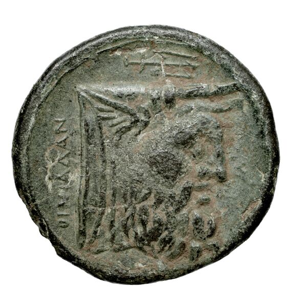 Oeniadae BMC Oeniadae 6-14, реверс, BnF (IRIS)