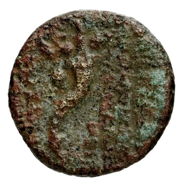 Ptolemais-Ake Kadman 1961 11-44, реверс, BnF (IRIS)