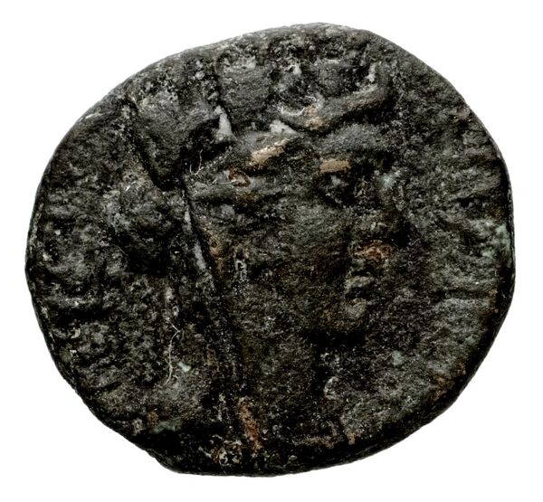 Laodicea ad Mare BMC Laodiceia ad Mare 1-3, аверс, BnF (IRIS)