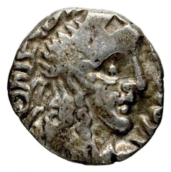 Rabel II Soter of Nabataea Petra Barkay 2019 222, 226-34, аверс, BnF (IRIS)