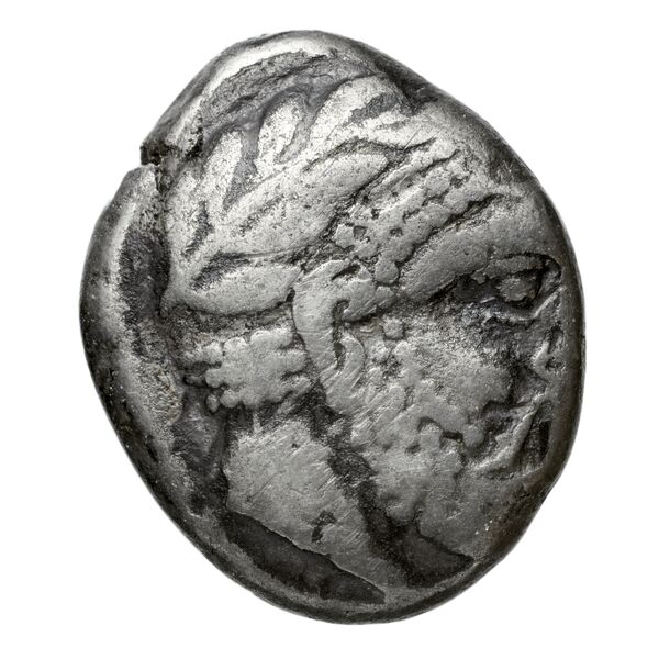 Aradus Elayi 2015 Pl. xiv, c22-24, аверс, bnf-iris