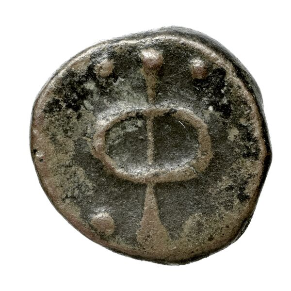 Phlius BMC Phlius 13-7, реверс, bnf-iris