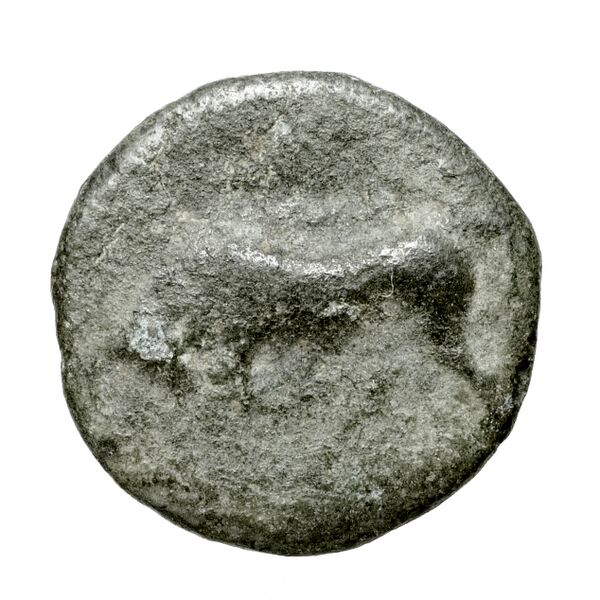 Phlius BMC Phlius 13-7, аверс, bnf-iris