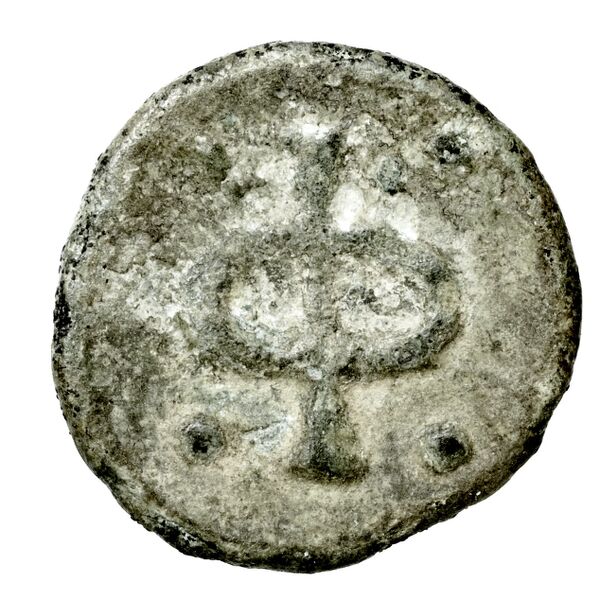 Phlius BMC Phlius 13-7, реверс, bnf-iris