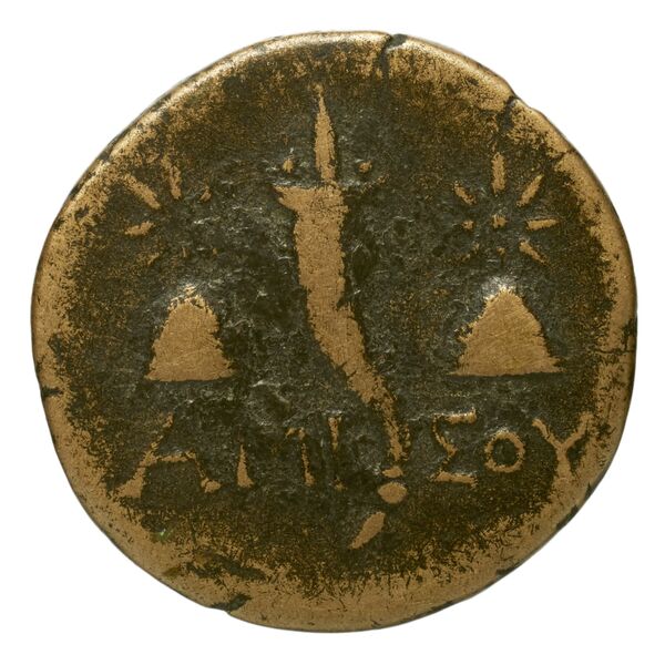 Amisus Waddington 1925 36, реверс, bnf-iris