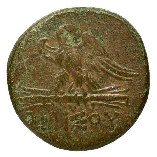 Amisus Waddington 1925 14, реверс, bnf-iris