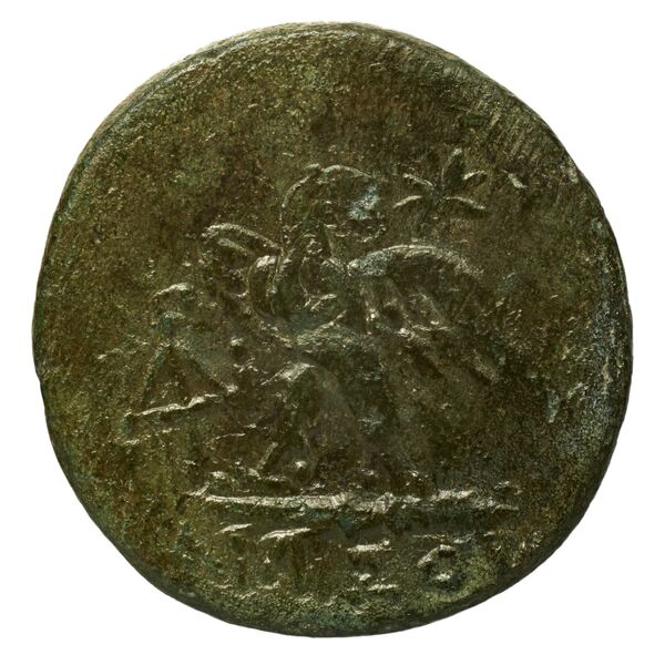 Amisus Waddington 1925 16, реверс, bnf-iris