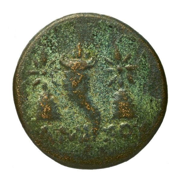 Amisus Waddington 1925 36, реверс, bnf-iris