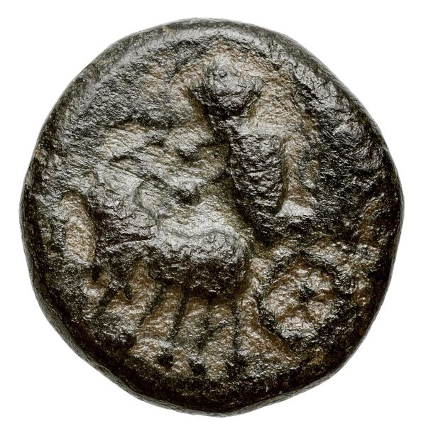 Sidon Elayi 2004 IV.7.7, реверс, bnf-iris