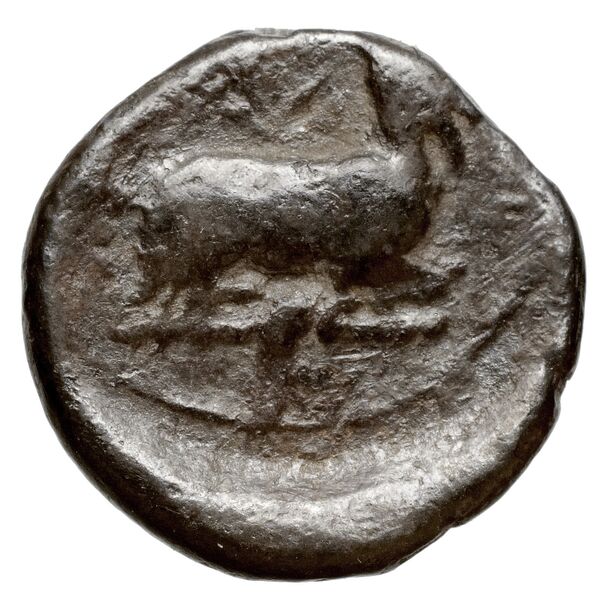реверс Euagoras I Salamis Markou 2011 193-194