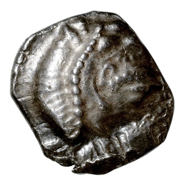 Baalmelek II of Citium Citium BMC Citium 49, аверс, BnF (IRIS)