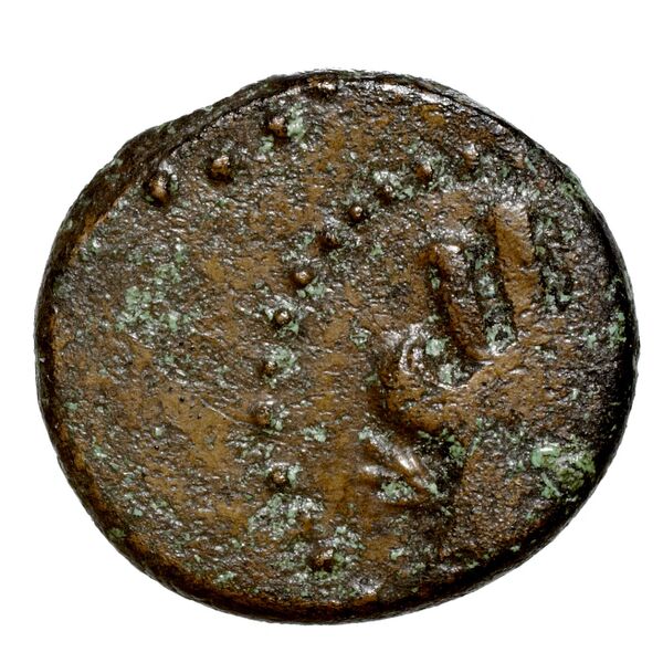 Aradus Duyrat 2005 2495-2572, аверс, bnf-iris