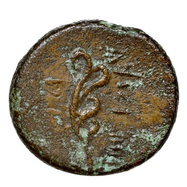 Aradus Duyrat 2005 2495-2572, реверс, bnf-iris