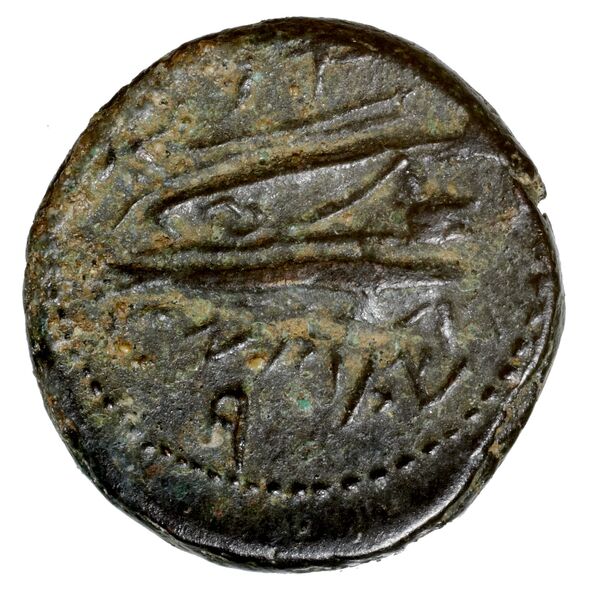 Aradus Duyrat 2005 4228-4381, реверс, bnf-iris