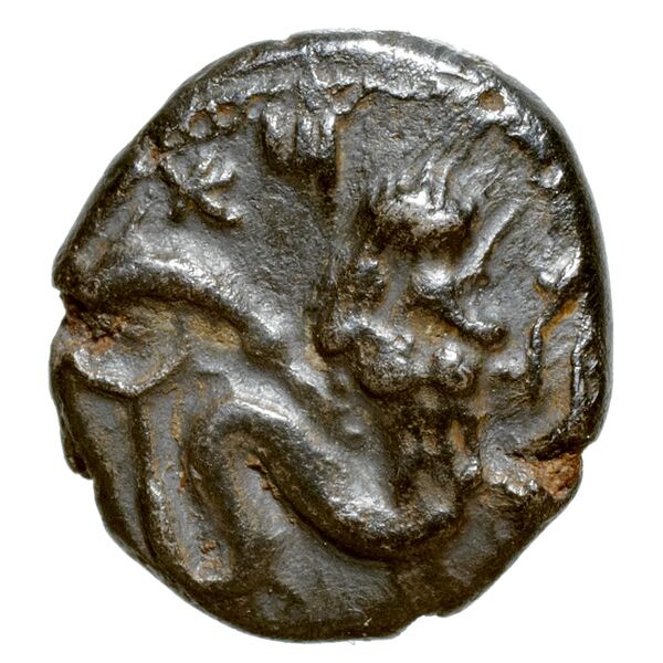 Aradus Elayi 2015 Pl. xiii, c6-8, c10, аверс, bnf-iris