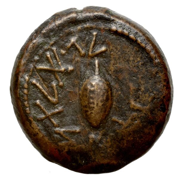 реверс Simon Maccabaeus Judaea Hendin 2010 1368
