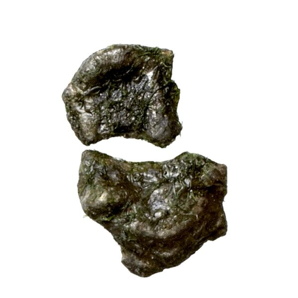 Aradus Elayi 2015 Pl. xv, c28, аверс, bnf-iris