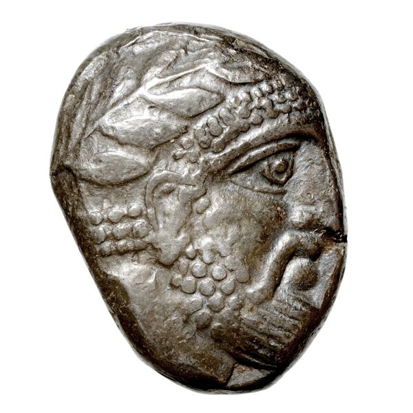 Aradus Elayi 2015 Pl. xiv, c22-24, аверс, bnf-iris