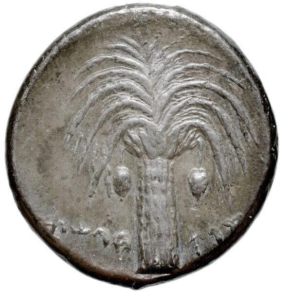 Carthaginian Empire Carthage Jenkins 1974 Carthage series 1, 1-37, реверс, BnF (IRIS)