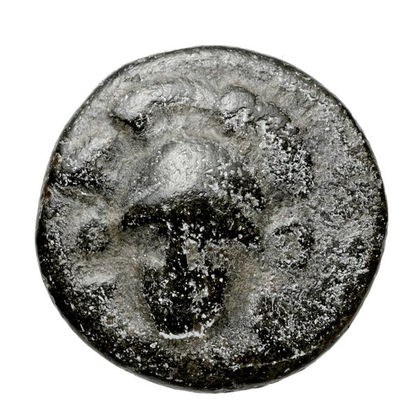 Phocian League Phocis BMC Phocis 66-67, аверс, BnF (IRIS)