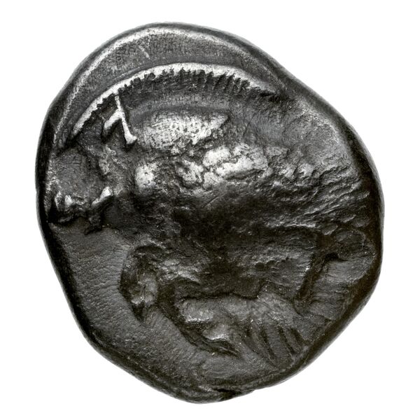obverse Lycia Hoff 2017 M53