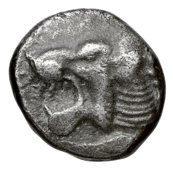 obverse Lycia Hoff 2017 M65