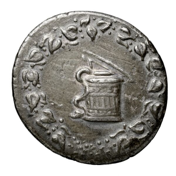 Ephesus Kleiner and Noe 1977 22, аверс, BnF (IRIS)