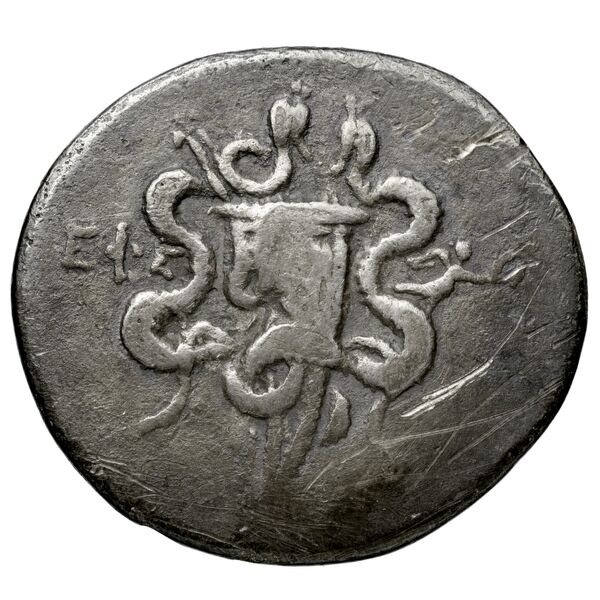 Ephesus Kleiner and Noe 1977 23, реверс, BnF (IRIS)