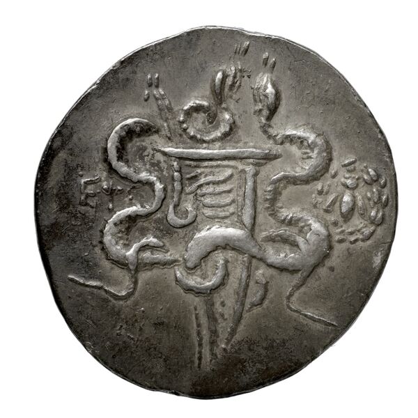 Ephesus Kleiner and Noe 1977 17, реверс, BnF (IRIS)