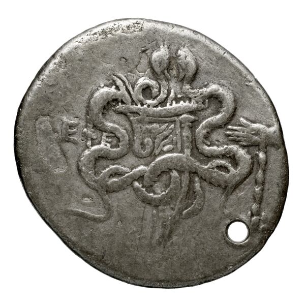 Ephesus Kleiner and Noe 1977 26, реверс, BnF (IRIS)
