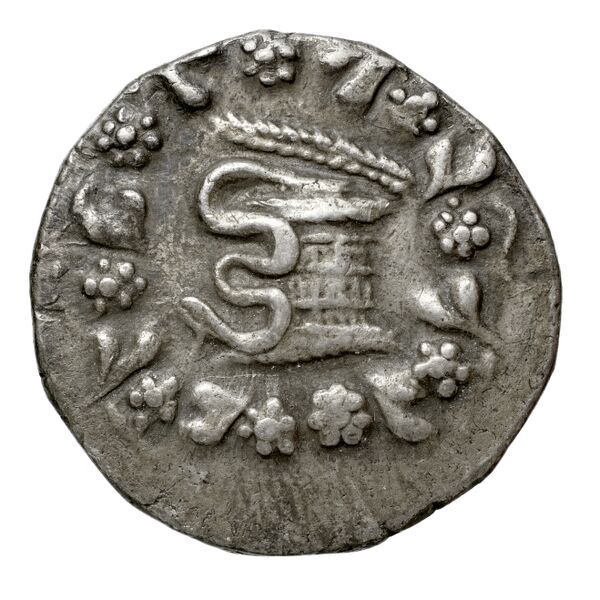 obverse Tralles Carbone 2020 XXXIV, tetradrachms