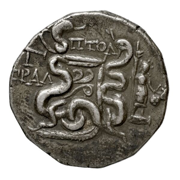 реверс Tralles Carbone 2020 XXXIV, tetradrachms