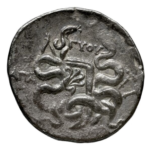 Apamea in Phrygia Kleiner 1979 V, реверс, BnF (IRIS)