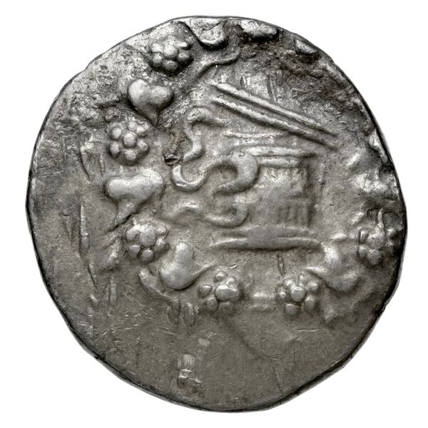 Apamea in Phrygia Kleiner 1979 XVIII, аверс, BnF (IRIS)
