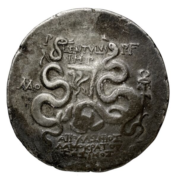 P. Lentulus P.f., governor of Cilicia Laodiceia ad Lycum Metcalf 2017 XI, реверс, BnF (IRIS)