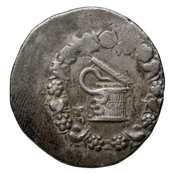 Ap. Claudius Ap. f. Pulcher, governor of Cilicia Laodiceia ad Lycum Metcalf 2017 XIII, аверс, bnf-iris