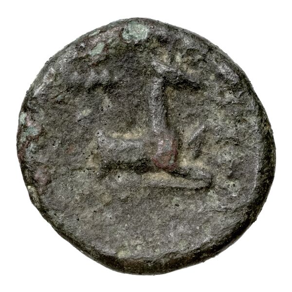 реверс Ephesus Kinns and Holt 2023 Period V, AE XX
