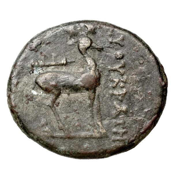 Ephesus Kinns and Holt 2023 Period V, AE XIV, реверс, BnF (IRIS)