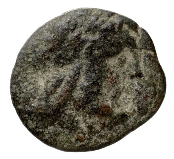 Tralles BMC Tralles 63-5, аверс, bnf-iris