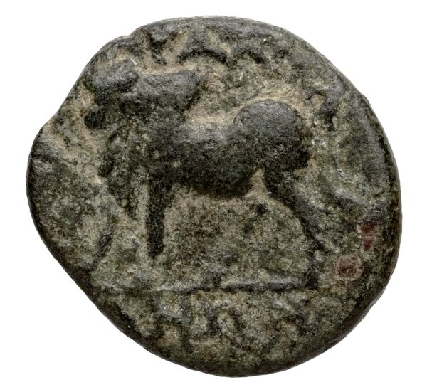 Tralles BMC Tralles 63-5, реверс, bnf-iris