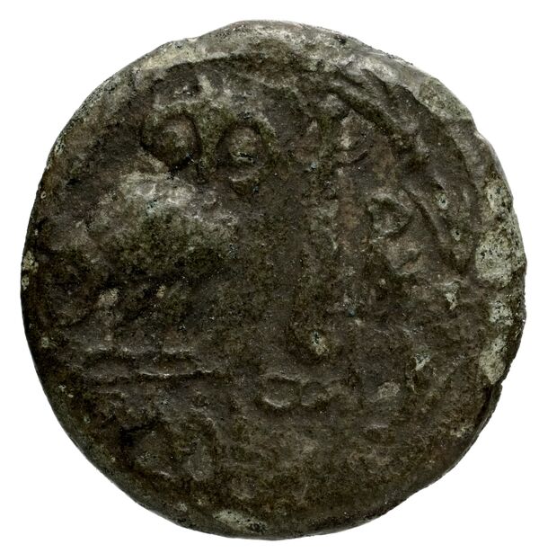 Herakleia ad Latmum Robert 1978 6-9, реверс, BnF (IRIS)