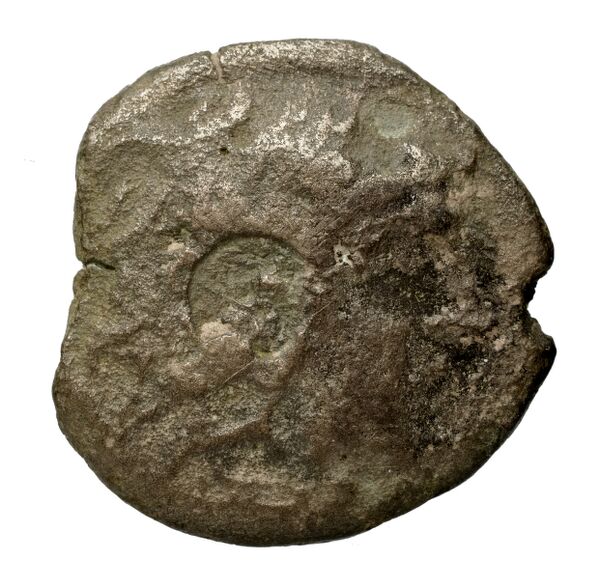 Olbia Anokhin 2011 495; 499, аверс, BnF (IRIS)