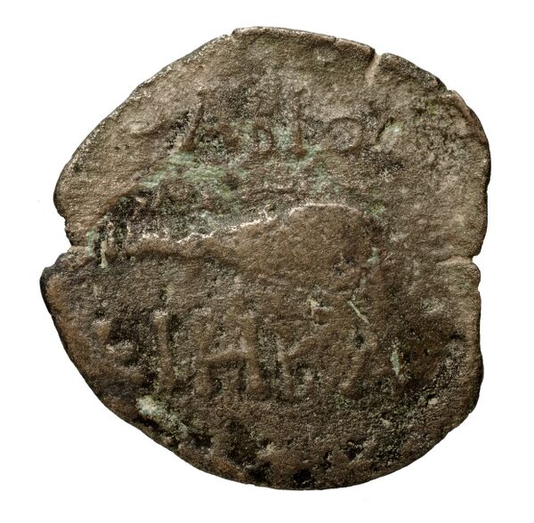 Olbia Anokhin 2011 495; 499, реверс, BnF (IRIS)