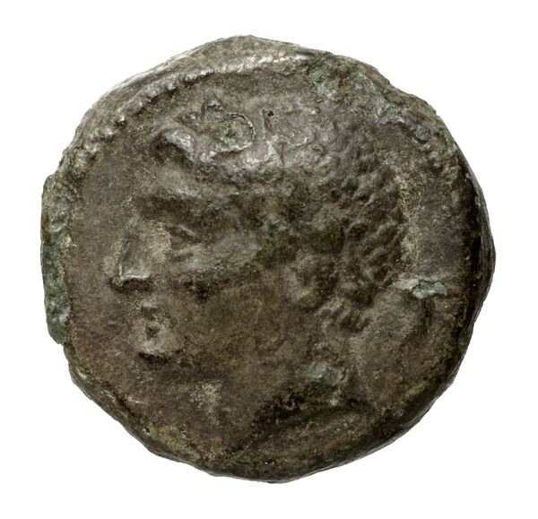 Neapolis Historia Numorum Italy 583, аверс, bnf-iris