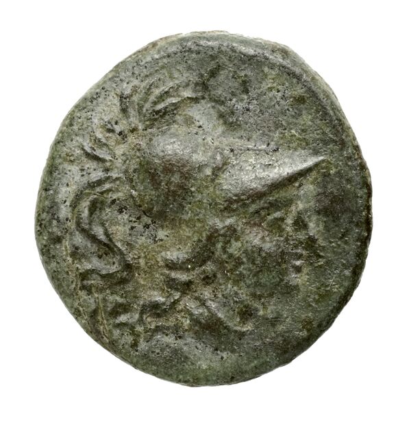 Uxentum Historia Numorum Italy 1104, BnF (IRIS)