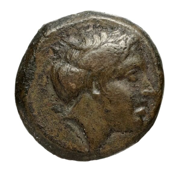 аверс Metapontum Historia Numorum Italy 1642